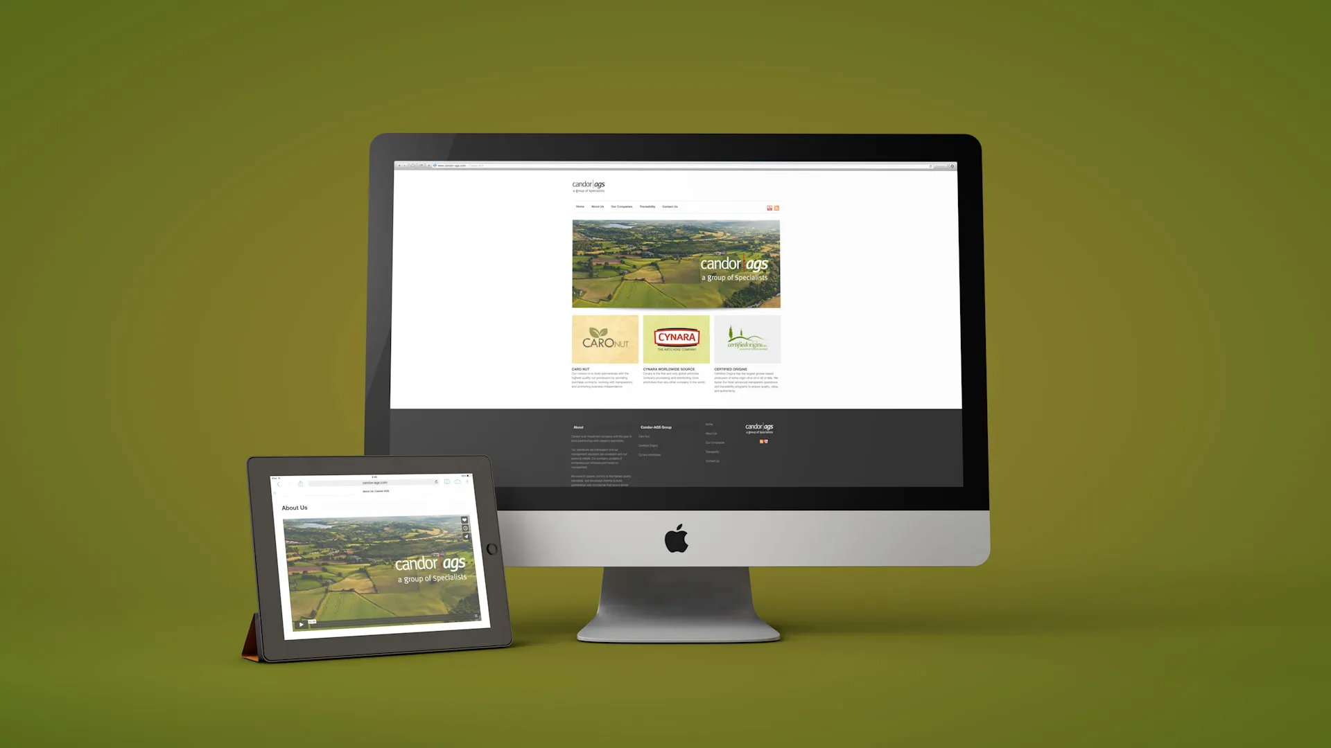 Candor Corporate website